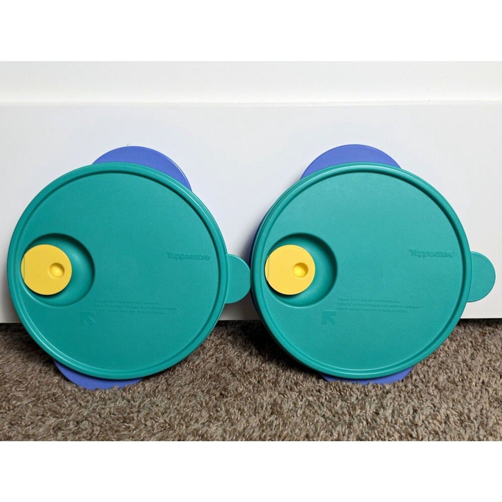 Tupperware Divided Microwave Plates Vented Lids Set of 2 Purple Teal